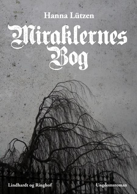 Miraklernes bog af Hanna Lützen