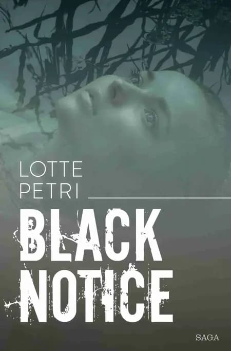 Black notice af Lotte Petri