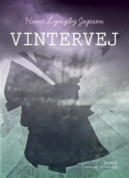Vintervej af Hans Lyngby Jepsen