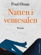 Natten i ventesalen af Poul Ørum
