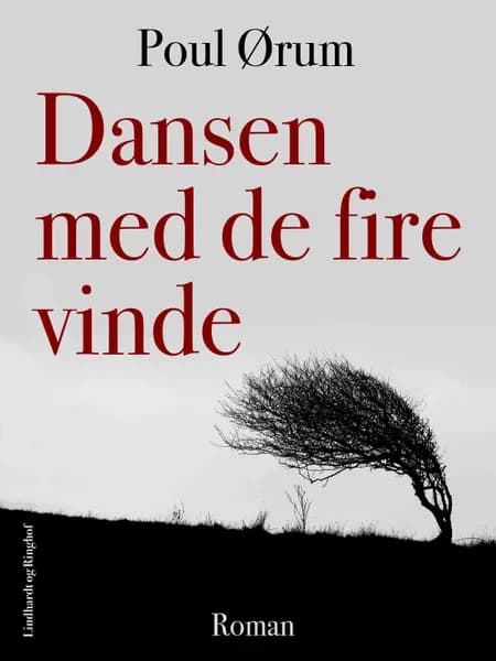 Dansen med de fire vinde af Poul Ørum