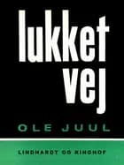 Lukket vej