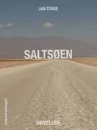 Saltsøen