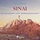 Sinai, Gegenwart und Vergangenheit af Thilo Koch