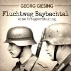 Fluchtweg Baybachtal - eine Kriegserzählung