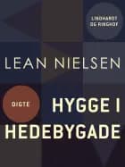 Hygge i Hedebygade