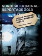 Jægere afslørede Älvsby-røverne i skoven 