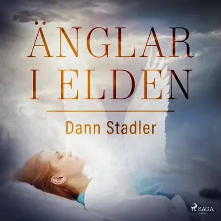 Änglar i elden af Dann Stadler