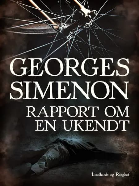 Rapport om en ukendt af Georges Simenon