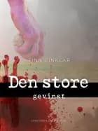 Den store gevinst af Finn Zinklar