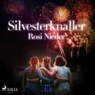 Silvesterknaller - Vulkanausbruch in der Eifel 2010/11