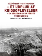 Julemåneden 1916 og fremover - et udpluk af krigsoplevelser af Sønderjyske Øjenvidner