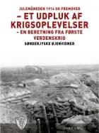 Julemåneden 1916 og fremover - et udpluk af krigsoplevelser