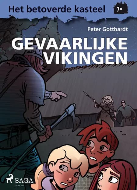 Het betoverde kasteel 7 - Gevaarlijke vikingen af Peter Gotthardt
