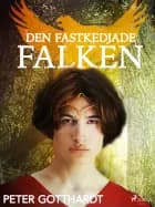 Den magiska falken 2: Den fastkedjade falken