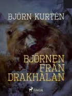 Björnen från Drakhålan