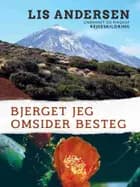 Bjerget jeg omsider besteg