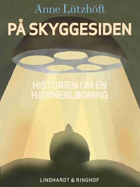 På skyggesiden af Anne Lützhöft