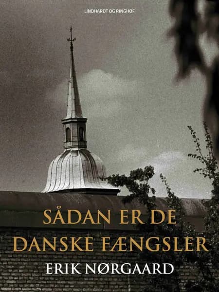 Sådan er de danske fængsler af Erik Nørgaard