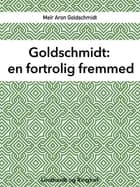 Goldschmidt af Meïr Aron Goldschmidt