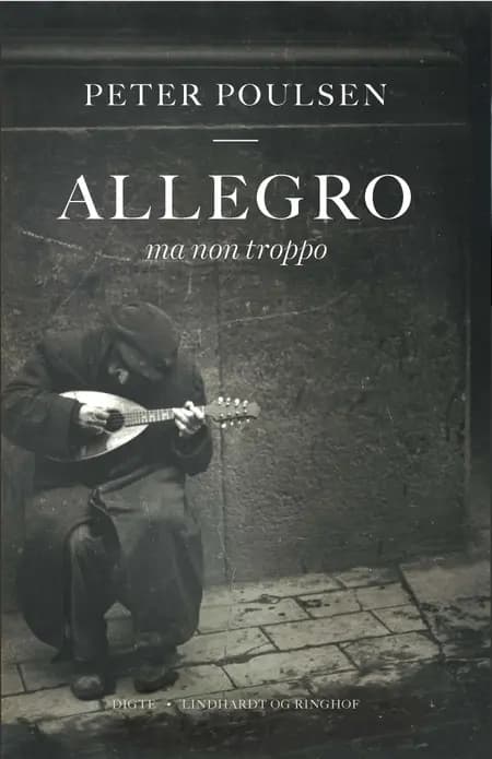Allegro ma non troppo af Peter Poulsen