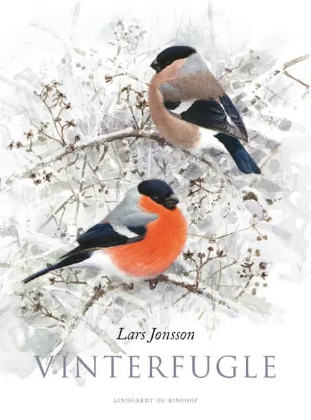 Vinterfugle af Lars Jonsson