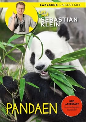 Pandaen af Claus Rye Schierbeck