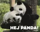Hej panda!