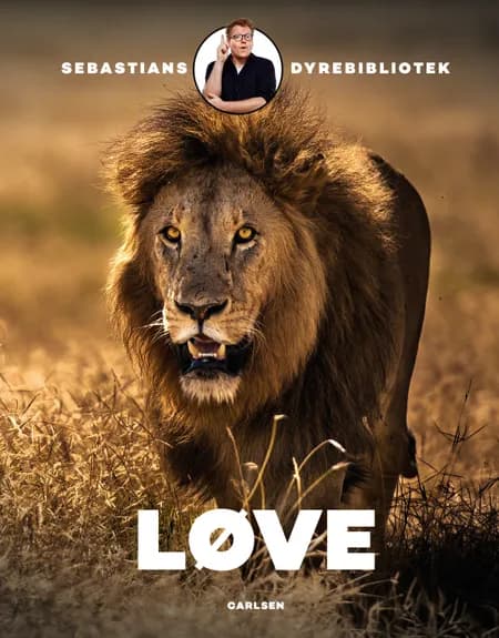 Sebastians dyrebibliotek: Løve af Sebastian Klein