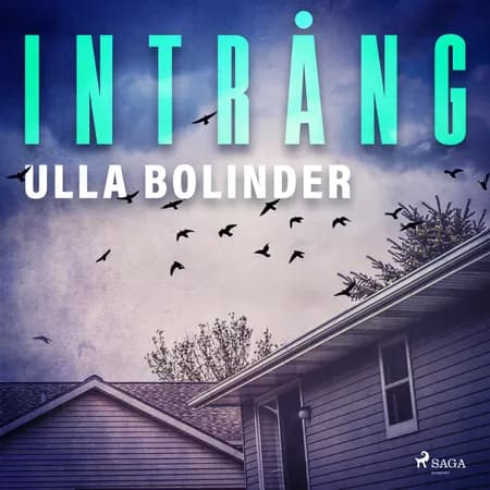 Intrång af Ulla Bolinder