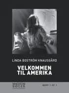 Velkommen til Amerika