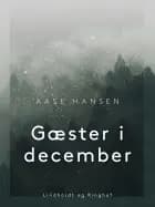 Gæster i december af Aase Hansen