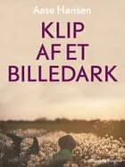 Klip af et billedark af Aase Hansen