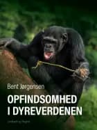 Opfindsomhed i dyreverdenen
