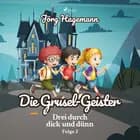 Die Grusel-Geister (Drei durch dick und dünn, Folge 2) af Jörg Hagemann