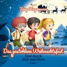 Das gestohlene Weihnachtsfest (Drei durch dick und dünn, Folge 9) af Jörg Hagemann