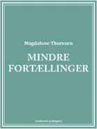 Mindre fortællinger