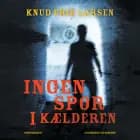 Ingen spor i kælderen af Knud Erik Larsen