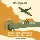 Sådan som landet lå - Brudstykker af et pigeliv