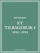 Et tilbageblik 4