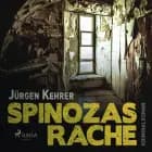 Spinozas Rache: Kriminalroman