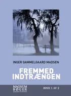 Fremmed indtrængen