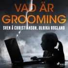 Vad är grooming