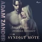 Syndigt möte - Anna Ekhags erotiska fantasier del 3 af Adam Zander