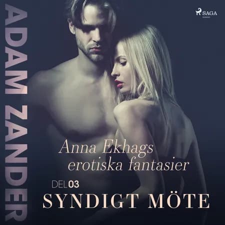 Syndigt möte - Anna Ekhags erotiska fantasier del 3 af Adam Zander