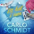 Ett hål i isen