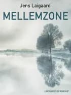 Mellemzone af Jens Laigaard