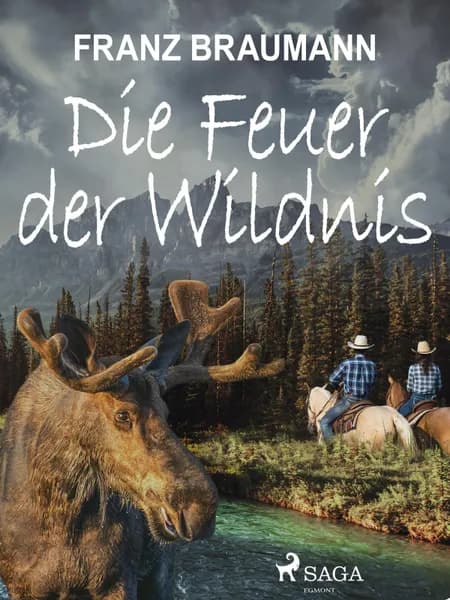 Die Feuer der Wildnis af Franz Braumann