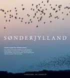SØNDERJYLLAND af Diverse