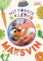 Mit første kæledyr - marsvin